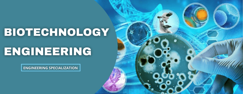 Biotechnology Engineering