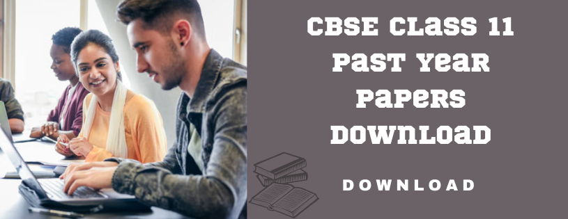 CBSE Class 11th Past Year Papers Download