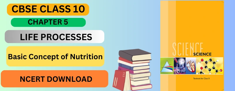 CBSE Class 10th Basic Concept of Nutrition  Details & Preparations Downloads