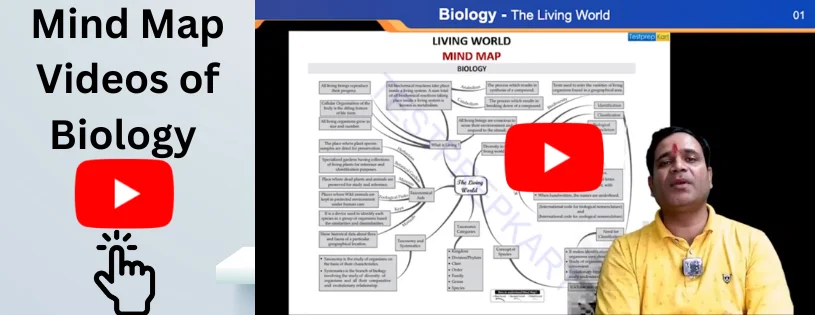 Mind Map Videos of Biology